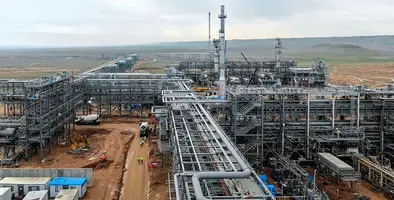 Image_of_khor_mor_plant