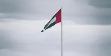 UAE_flag