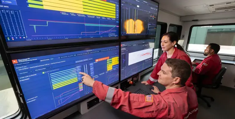 The service provides automated, continuous visualisation of the subsurface. (Image source: Halliburton)