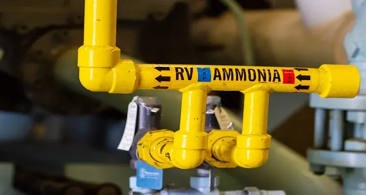 ammonia pipeline 