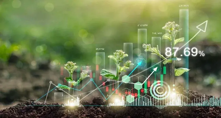 Plants and chart representing environment
